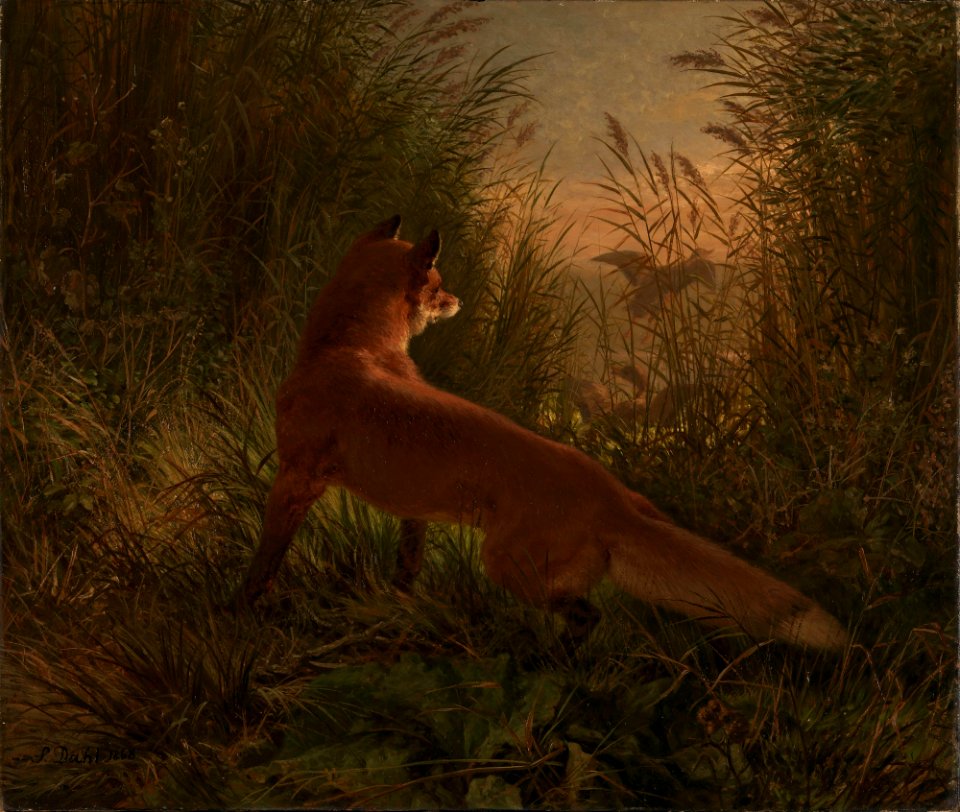 Siegwald Dahl - A Fox - NG.M.01444 - National Museum of Art, Architecture and Design