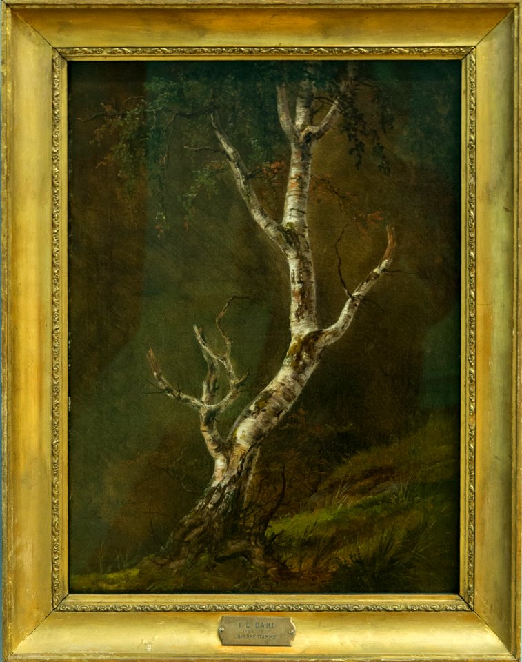 Study of a Birch Tree - Bjerkestamme - Johan Christian Dahl - IMG 9805- national gallery oslo (cropped)
