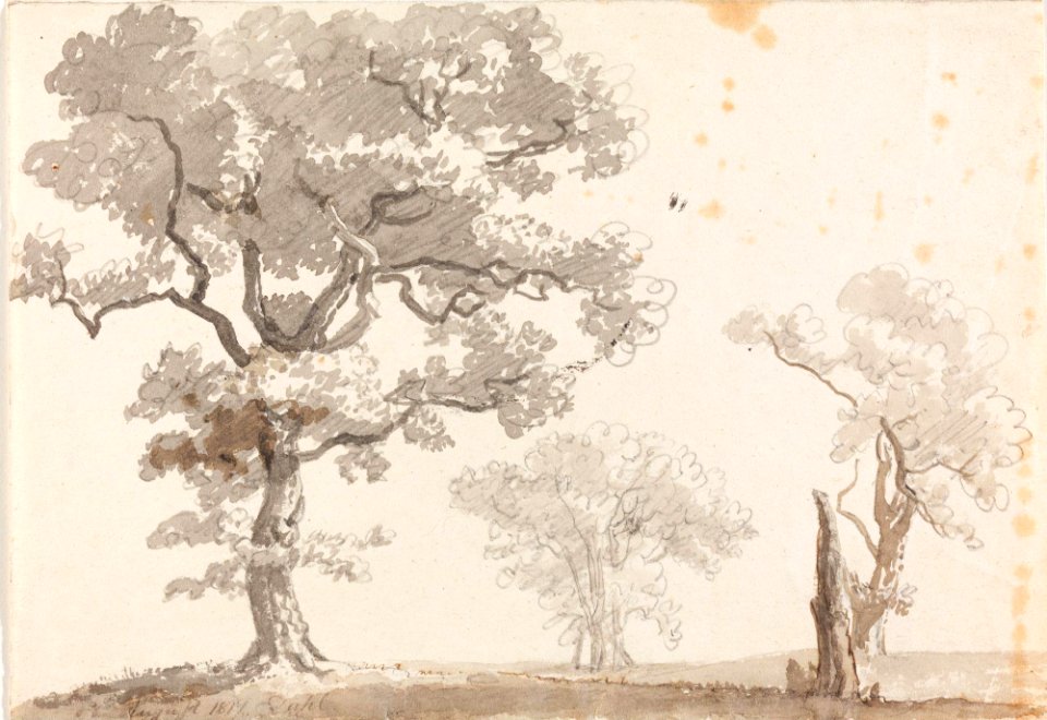 Johan Christian Dahl - Trær på åpen mark - Nasjonalmuseet - NG.K&H.B.01880