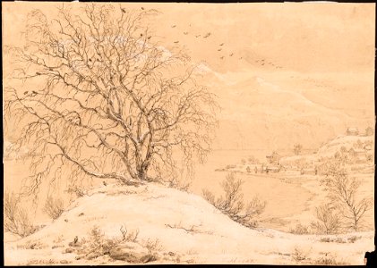 Johan Christian Dahl - The Slinde Birch - Slindebjerken - KODE Art Museums and Composer Homes - BB.B.00651