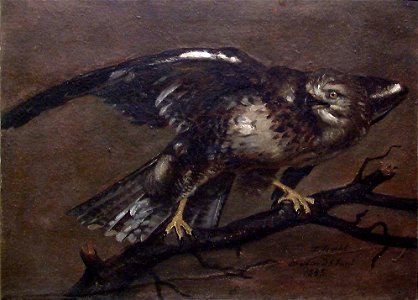Siegwald Dahl - A Vulture - NG.M.01203 - National Museum of Art, Architecture and Design