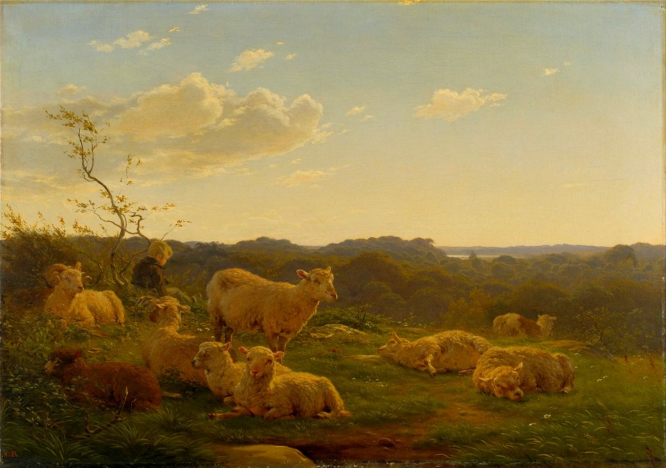 Carlo Dalgas - Sheep on a hill near Skarridsø. - Google Art Project