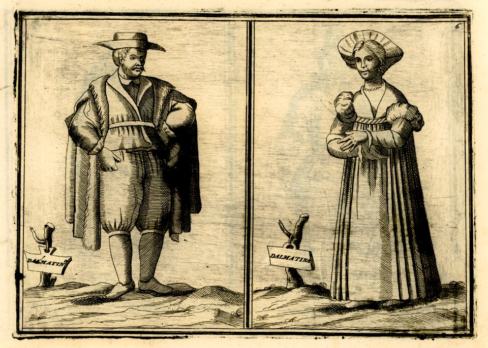 Dalmatin Dalmatina - Coronelli Vincenzo - 1688