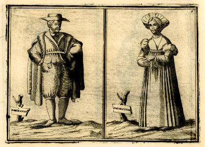 Dalmatin Dalmatina - Coronelli Vincenzo - 1688