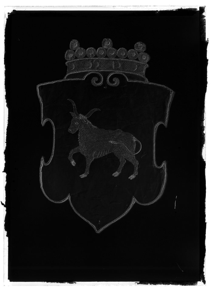 Dalslands vapen - Livrustkammaren - 60922-negative