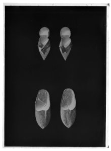Damgalosch - Livrustkammaren - 60277-negative