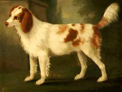 Daniel Clowes (1774-1829) - A Spaniel in a Landscape - 932381 - National Trust
