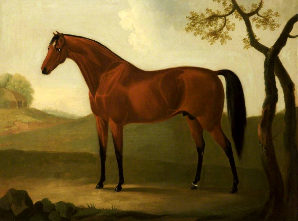 Daniel Clowes (1774-1829) - A Chestnut Hunter - 932344 - National Trust