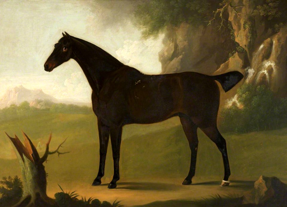 Daniel Clowes (1774-1829) - A Bay Hunter - 932342 - National Trust