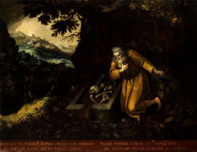 Daniel de Vos Eremit Jacob