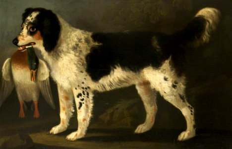 Daniel Clowes (1774-1829) - A Retriever with a Dead Duck in a Landscape - 932384 - National Trust
