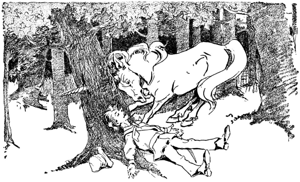 Danish fairy and folk tales 241