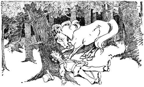 Danish fairy and folk tales 241