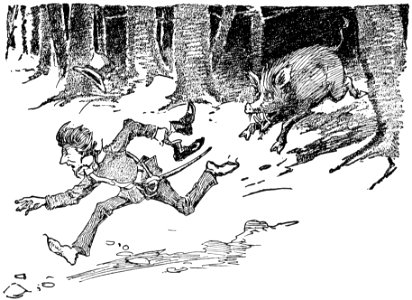 Danish fairy and folk tales 247
