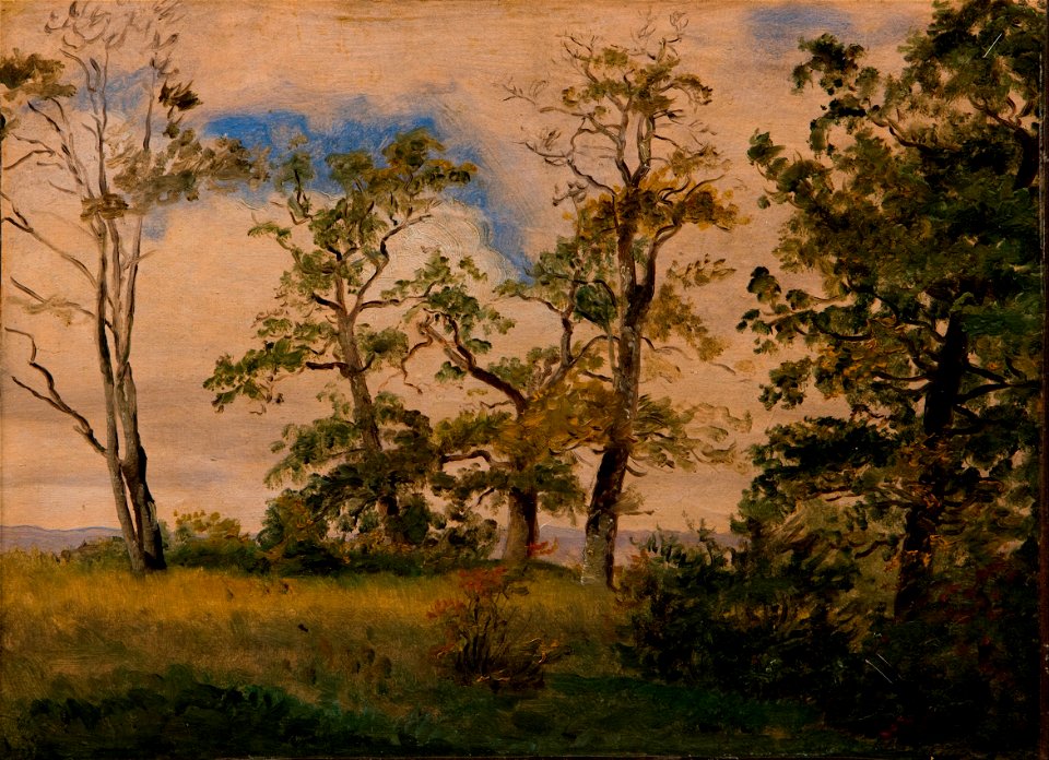 Dankvart Dreyer - Landscape with free-standing trees - Google Art Project