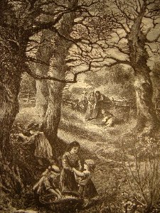 Dans le bois