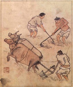 Danwon Nongali