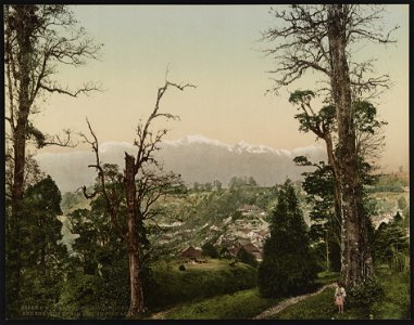 Darjeeling. Kinchinjunga and the snow from Beechwood Park LCCN2017657605