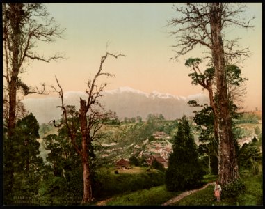 Darjeeling. Kinchinjunga and the snow from Beechwood Park LCCN2017657605