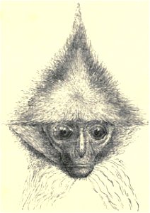 Darwin - La Descendance de l homme, 1881, page 601