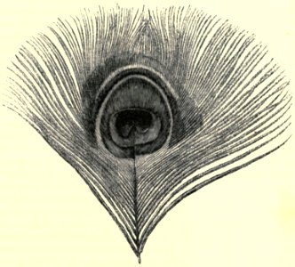 Darwin - La Descendance de l homme, 1881, page 473