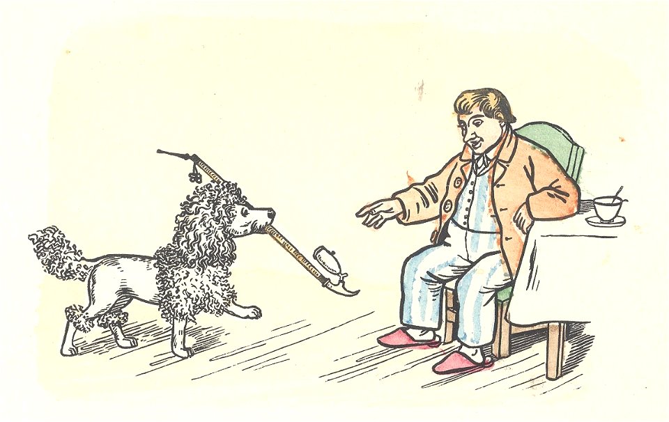 Das eigensinnige Schwein etc 51