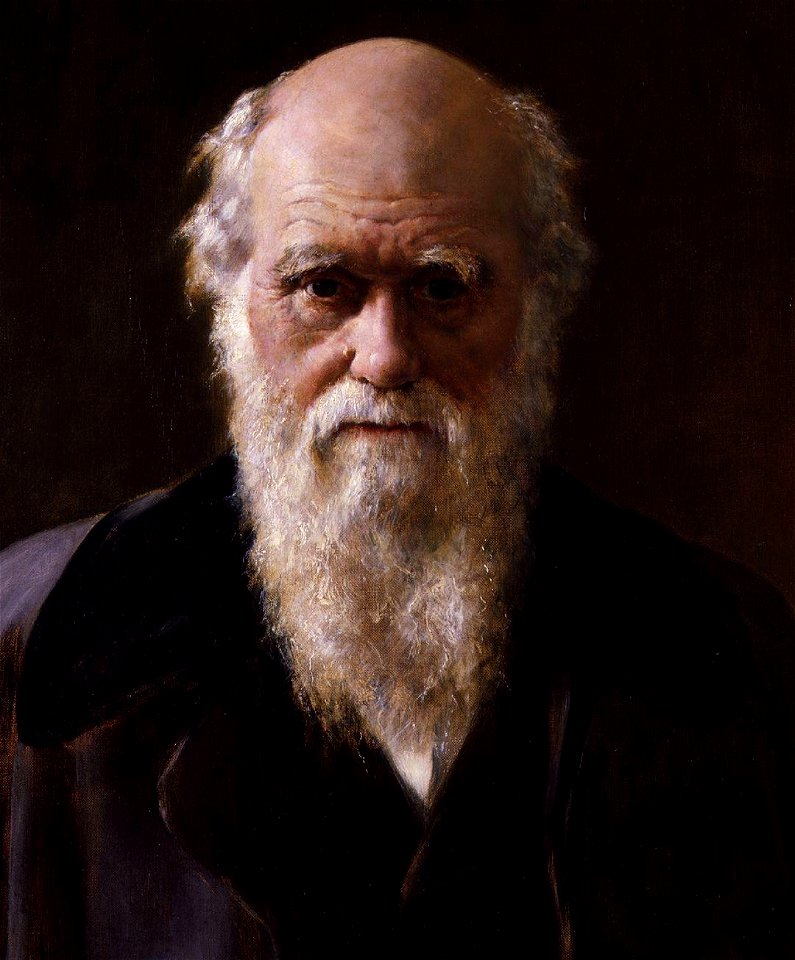 Charles Robert Darwin by John Collier cropped