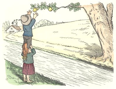 Das eigensinnige Schwein etc 28