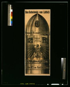 Das Geheimnis von Lüttich LCCN2004665823