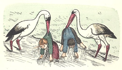 Das eigensinnige Schwein etc 33
