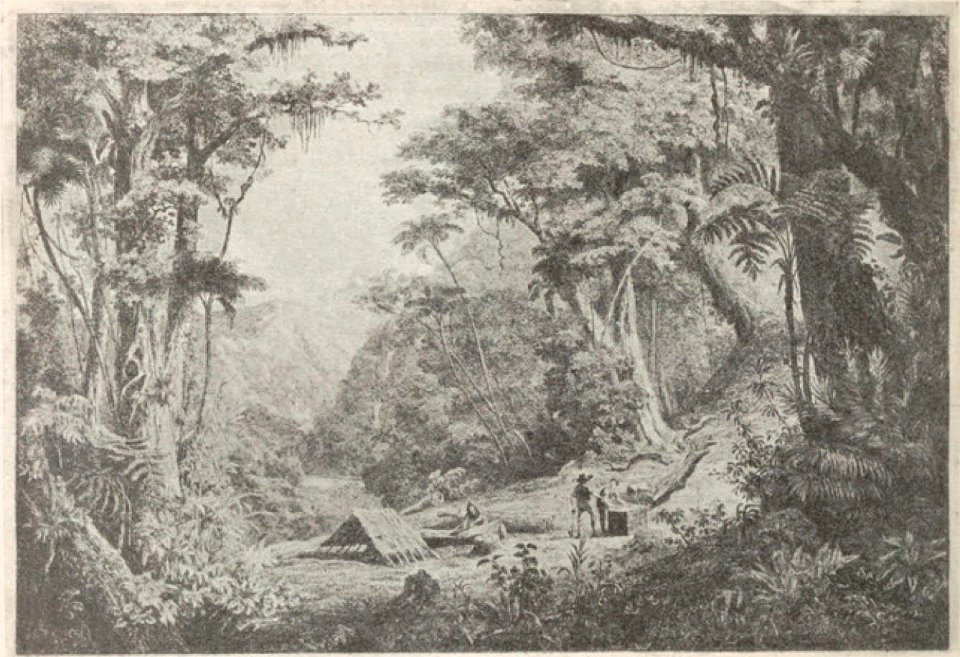 Daubigny - Delteil, 065