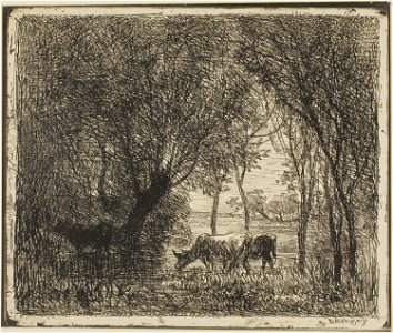 Daubigny - Cows in a Wood, 1926.2232