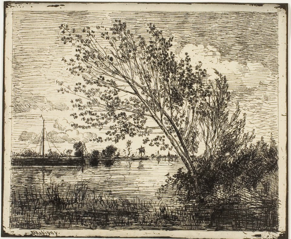 Daubigny - Clump of Alder Trees, 1926.2229