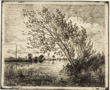 Daubigny - Clump of Alder Trees, 1926.2229