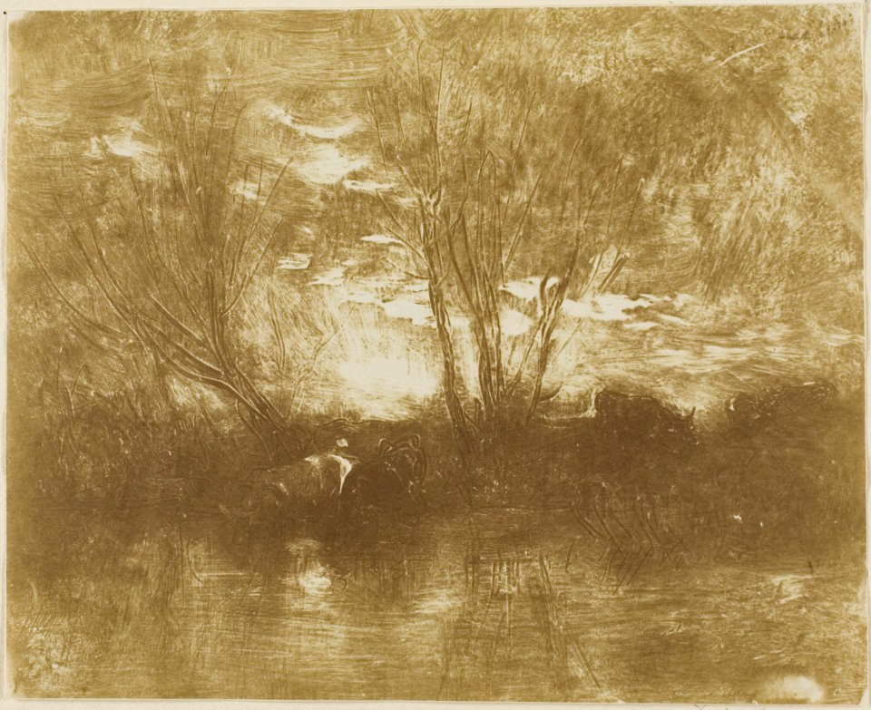 Daubigny - Cows at the Watering Place, 1927.2653