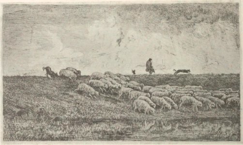 Daubigny - Delteil, 085
