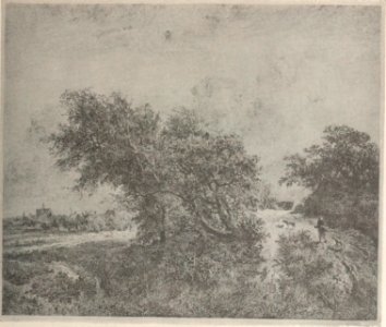 Daubigny - Delteil, 087