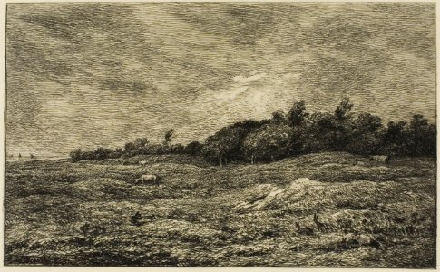 Daubigny - Le Pré des Graves à Villerville (Calvados), 1927.2643