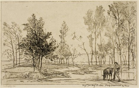 Daubigny - The Donkey at the Watering Place, 1927.2604
