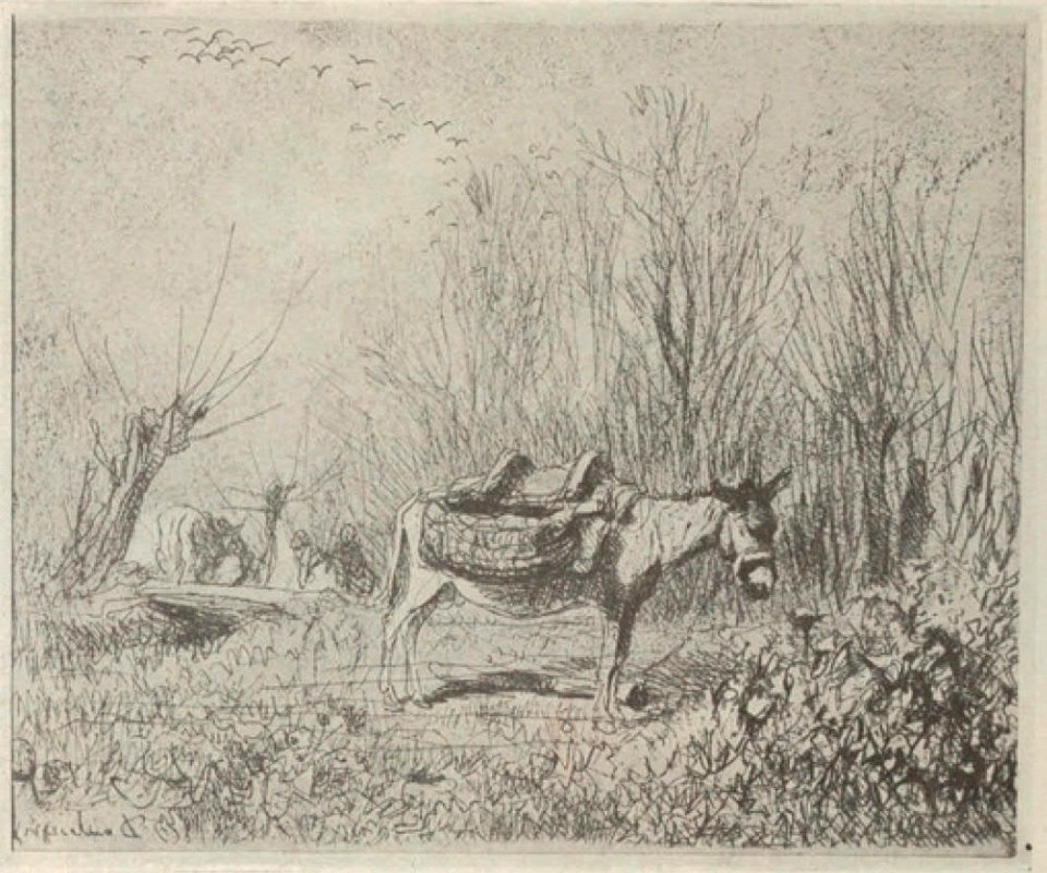 Daubigny - Delteil, 143
