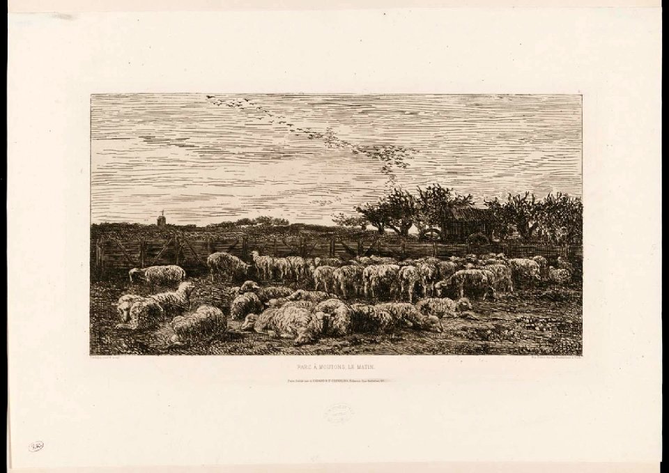 Daubigny - Le Grand parc à moutons, M23420