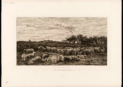 Daubigny - Le Grand parc à moutons, M23420
