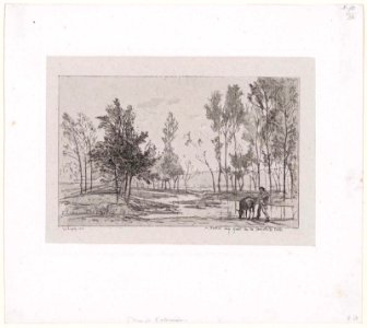 Daubigny - L'Âne à l'abreuvoir, 2014.1676