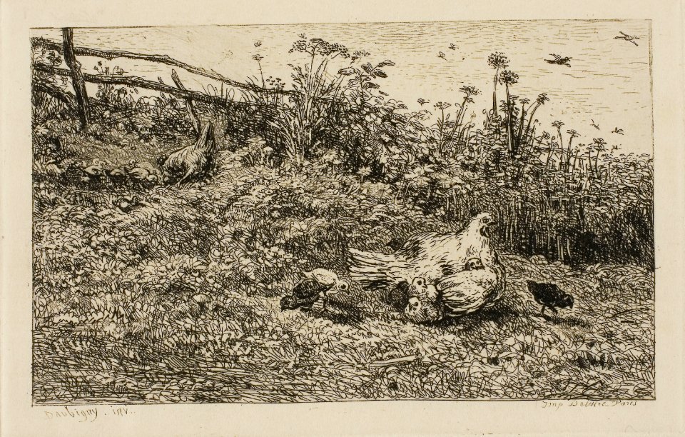 Daubigny - The Hen and her Chicks, 1927.2627