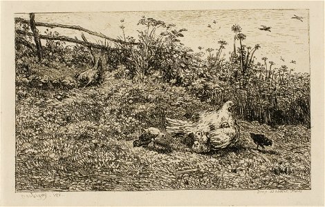 Daubigny - The Hen and her Chicks, 1927.2627