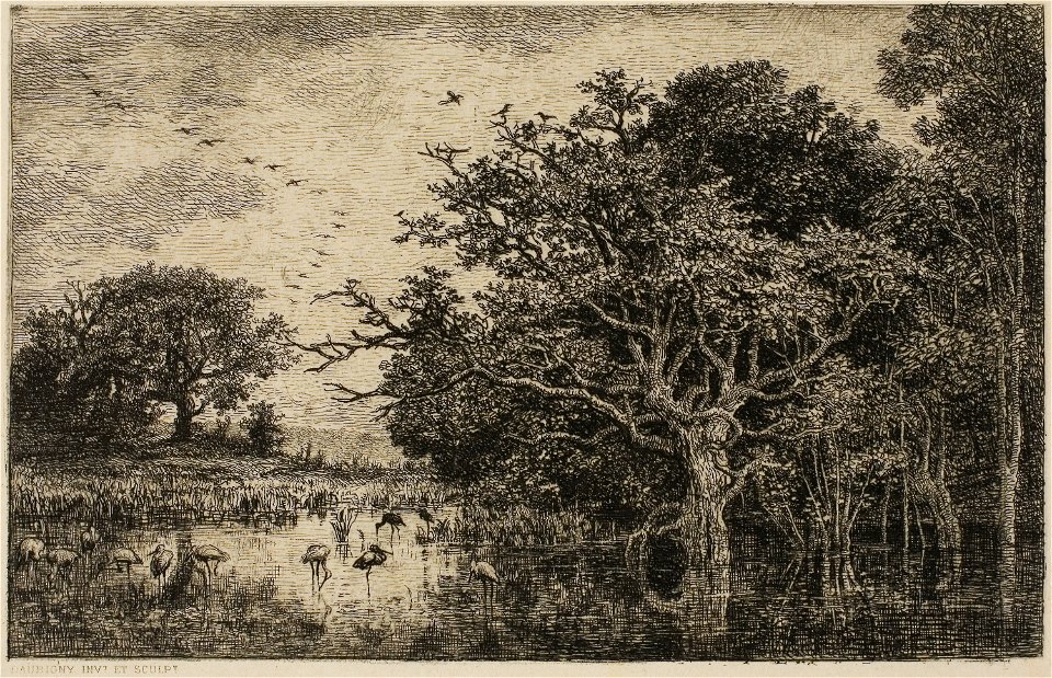 Daubigny - The Marsh with Storks, 1927.2615