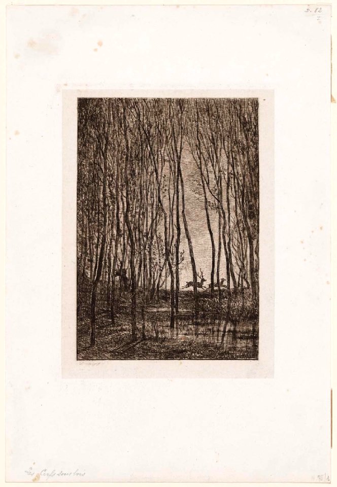Daubigny - Les Cerfs sous bois, 2014.1692