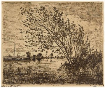 Daubigny - Le Bouquet d'aunes, 2014.1679
