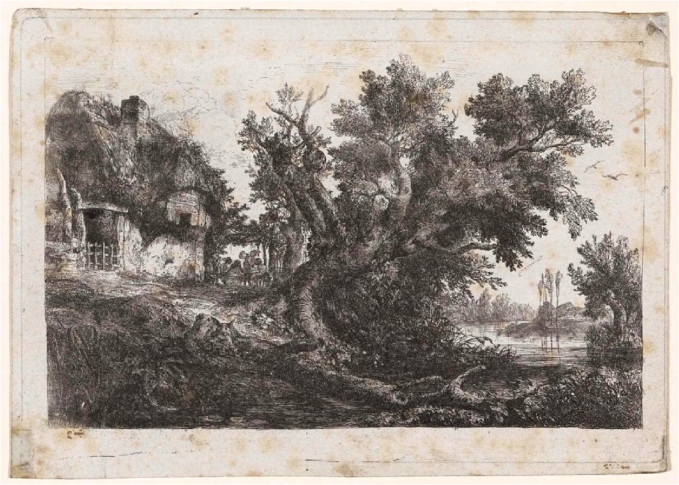 Daubigny - La Tonnelle, 2014.1675
