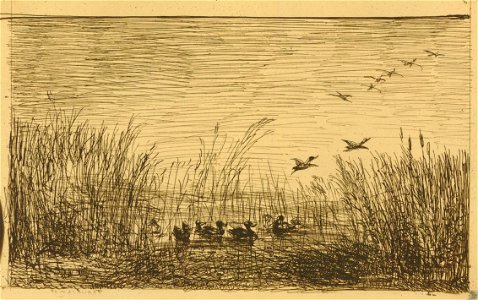 Daubigny - Le Marais aux Canards, 1949,0411.2406